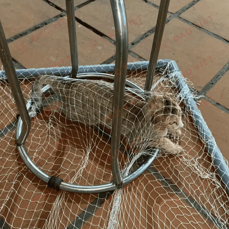 bẫy mèo bằng lưới