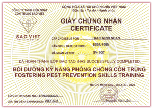 giay chung nhan dich vu 6 2