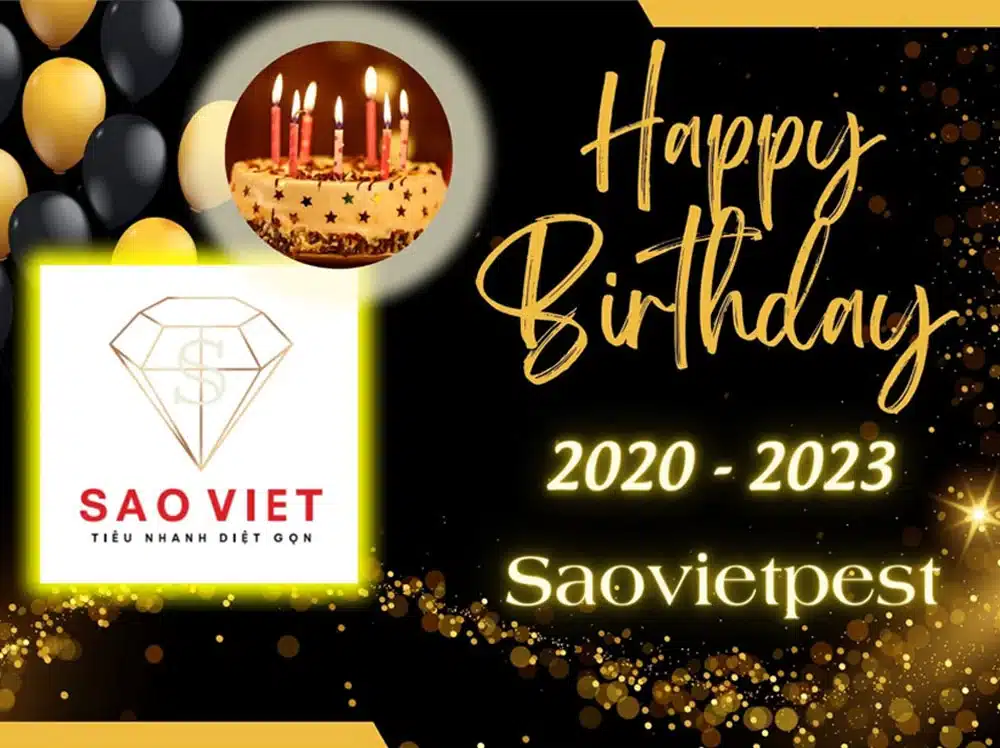 happy-birthday-saovietpest