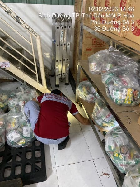 Nhân viên Sao Việt triển khai dịch vụ diệt kiến và kiếm soát kiến tại nhà kho