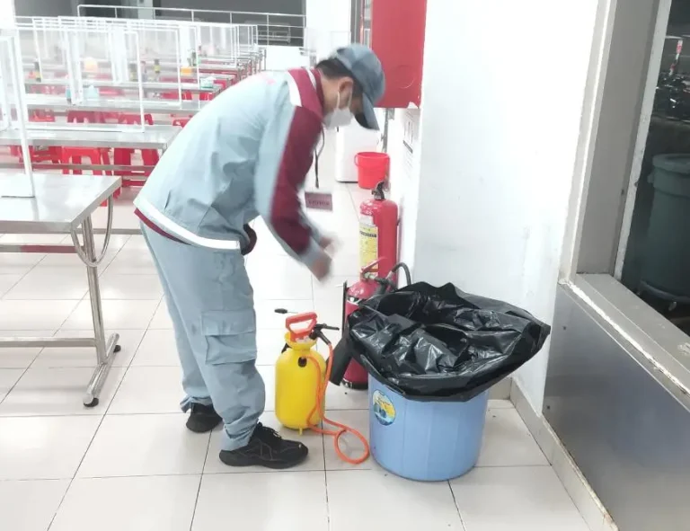 dich vu diet ruoi saovietpest