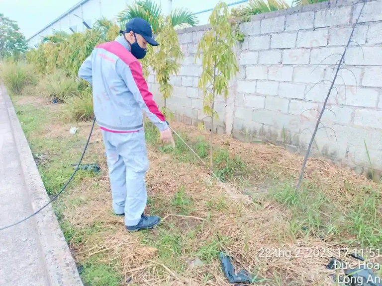 Sao Việt Pest luôn ưu tiên sử dụng các biện pháp diệt cuốn chiếu vừa an toàn vừa hiệu quả cho khách hàng