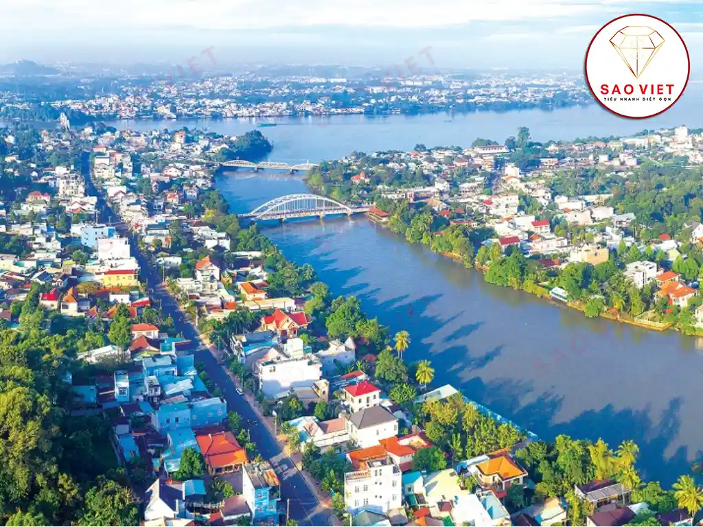 Diệt mối tại Đồng Nai tận gốc - Bảo hành dài hạn, giá ưu đãi 9 Diệt mối tại Đồng Nai