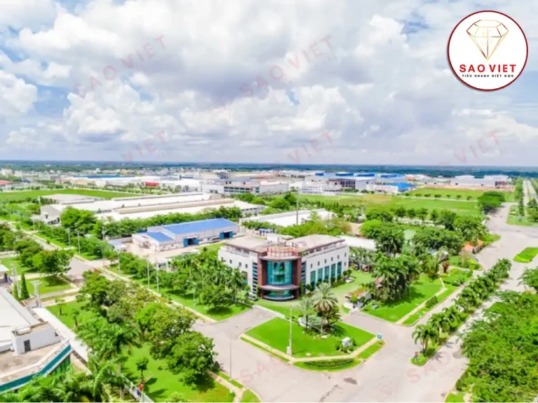 Dịch Vụ Diệt Côn Trùng Nhà Máy KCN Long Hậu: Giải Pháp Toàn Diện, Đạt Chuẩn Quốc Tế