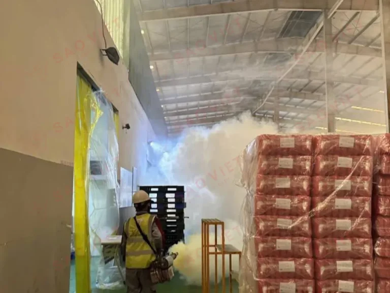 Dịch vụ kiểm soát côn trùng của Sao Việt Pest giúp bạn giảm thiểu tối đa rủi ro từ côn trùng