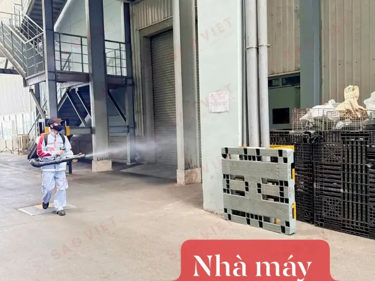 Mọi ngóc ngách đều được Sao Việt Pest kiểm tra và xử lý kỹ lưỡng