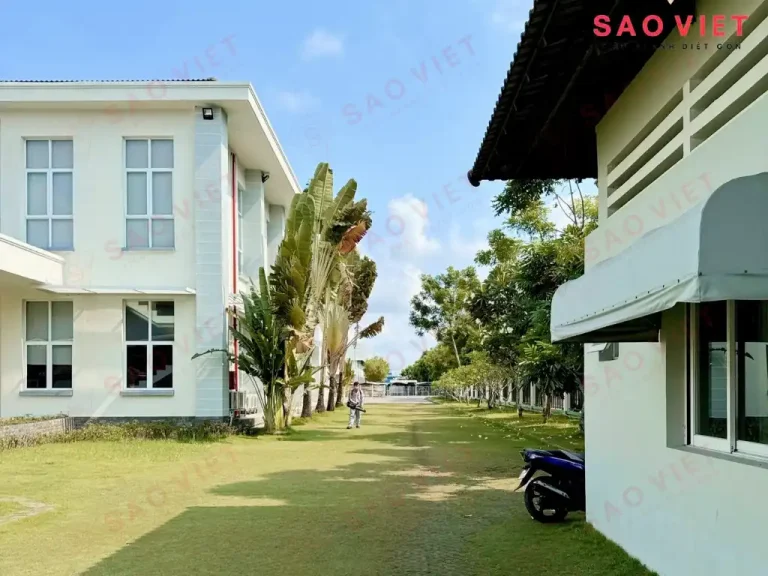 Dịch vụ diệt côn trùng nhà máy của Sao Việt Pest kiểm soát toàn diện từ trong ra ngoài