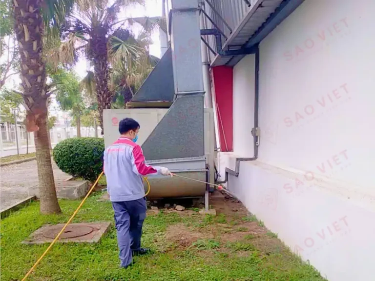 Các phương án xử lý được Sao Việt Pest cân nhắc rất kỹ trước khi thực hiện để đẩm bảo hiệu quả