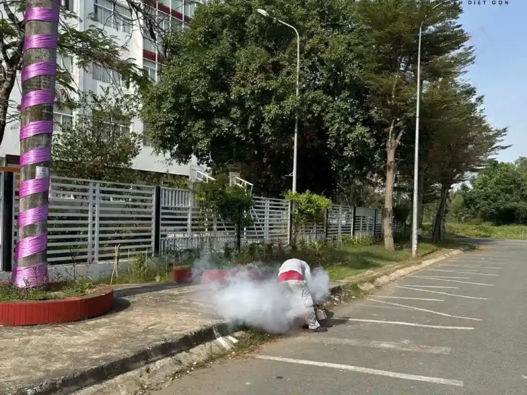 Định kỳ kiểm tra và xử lý thường xuyên để đảm bảo hiệu quả lâu dài
