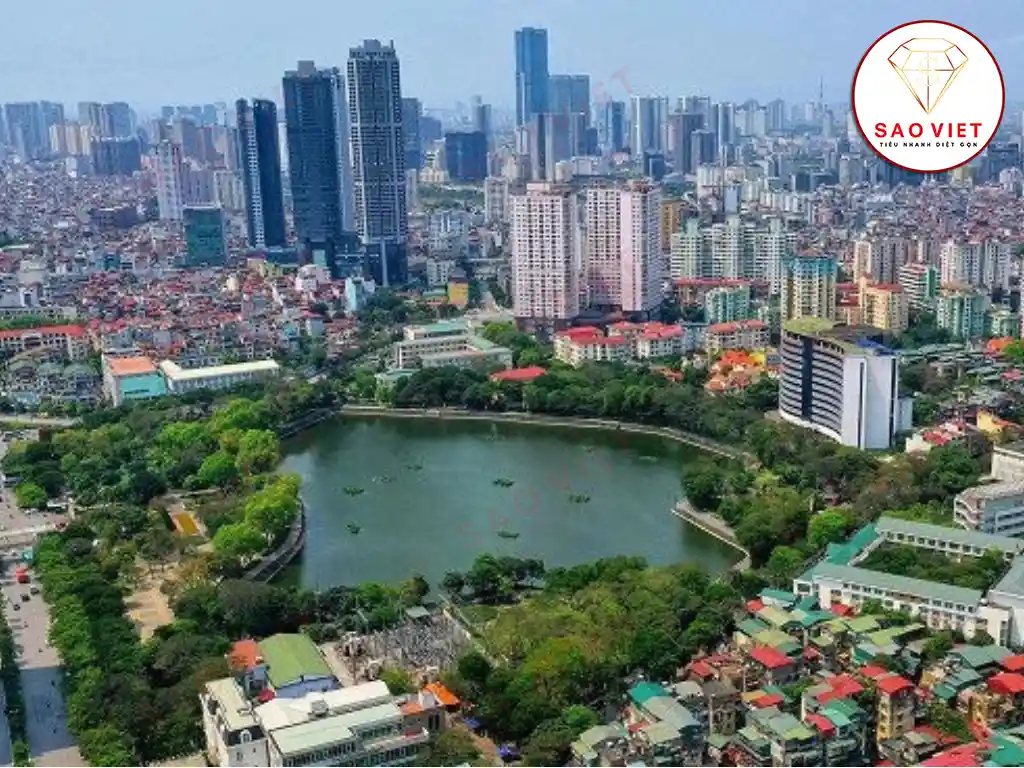 Dịch vụ diệt mối Hà Nội