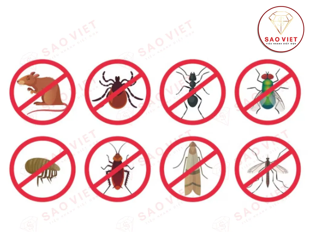 Các loại côn trùng có hại | Top 9+ côn trùng gây hại phổ biến 2 Các loại côn trùng có hại