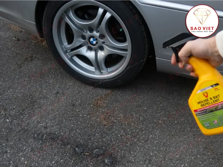 Chống chuột cho ô tô bằng bình xịt chống chuột chuyên dụng Chống chuột cho ô tô bằng bình xịt chống chuột chuyên dụng