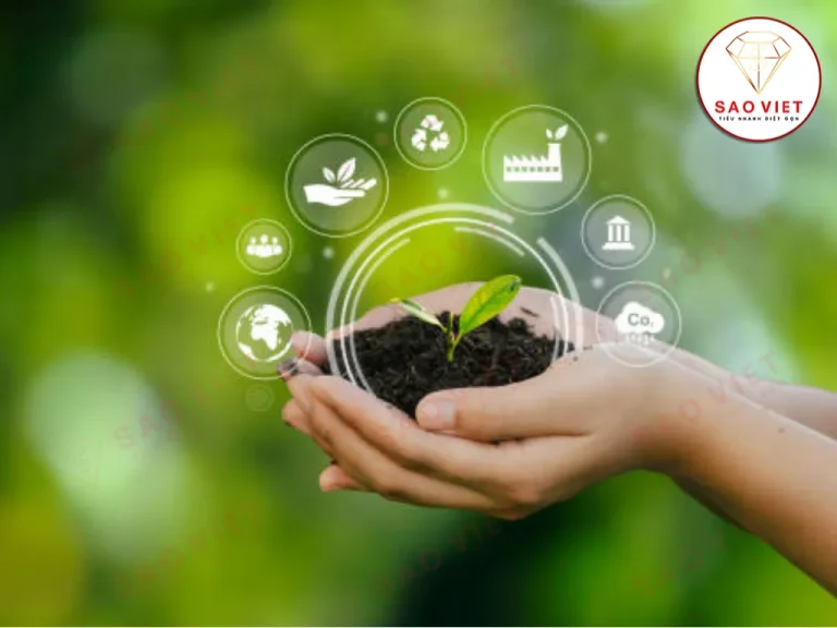 Kiểm soát côn trùng dịch hại bền vững Kiểm soát côn trùng dịch hại bền vững