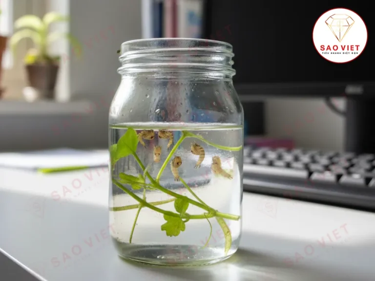 Nhộng muỗi Nhộng muỗi