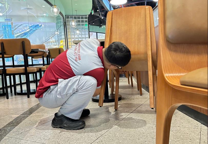 kiểm soát dịch hại tổng hợp Sao Việt