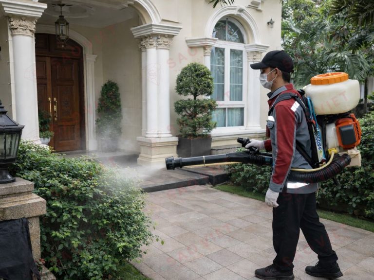 Tại sao nhà sạch vẫn có gián? 5 nguyên nhân và cách xử lý 3 28