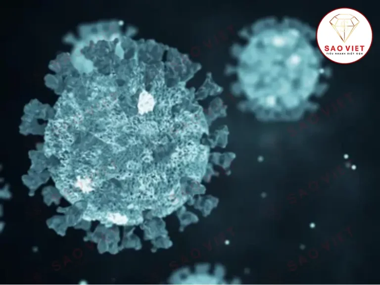 Virus Adeno bùng phát thời điểm giao mùa 3 Adeno Virus