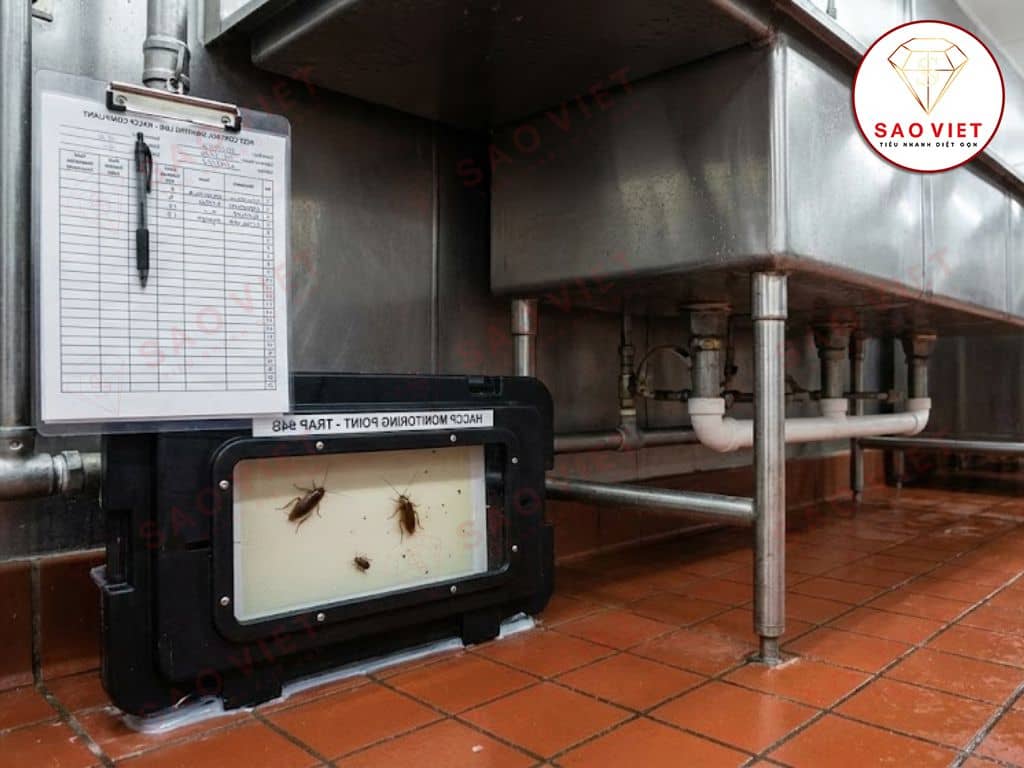 kiem-soat-gian-dat-chuan-haccp-cho-nha-may-thuc-pham