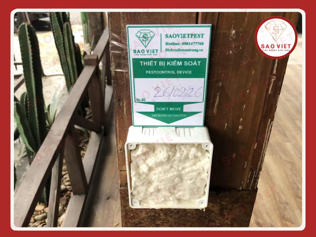 7 Cách Diệt Mối Tại Nhà Tận Gốc Và Quy Trình Chuẩn Từ SaoVietPest 2 Quy trình đặt hộp nhử diệt mối sinh học
