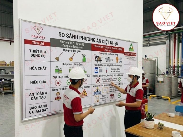 So sánh hai phương án: tự xử lý (dụng cụ đơn giản) và dịch vụ chuyên nghiệp