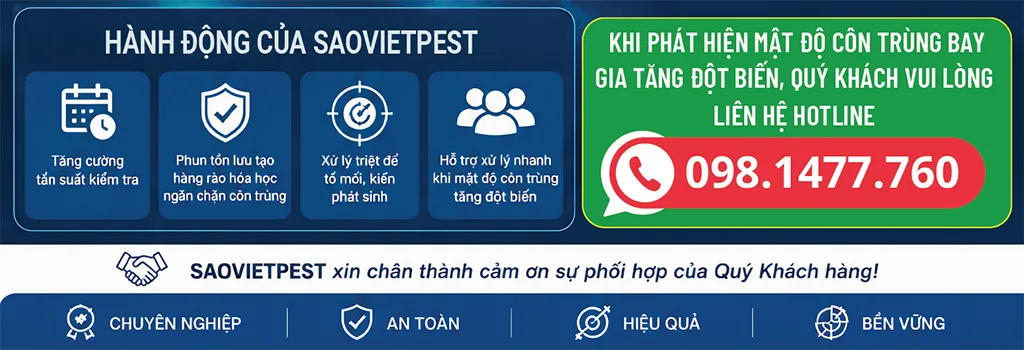 Hành động của Sao Việt Pest