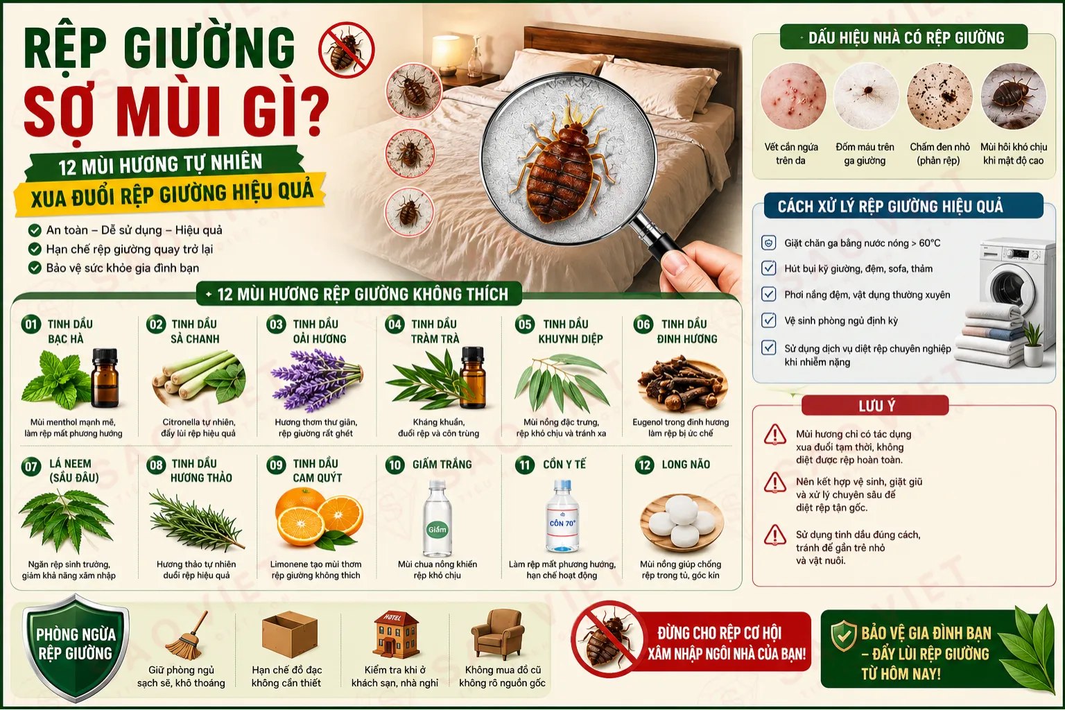 Rệp giường sợ mùi gì