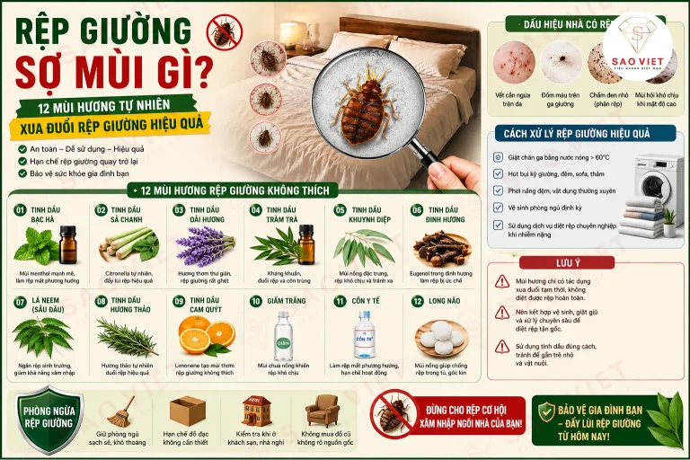 Noi dung doan van ban cua ban 17