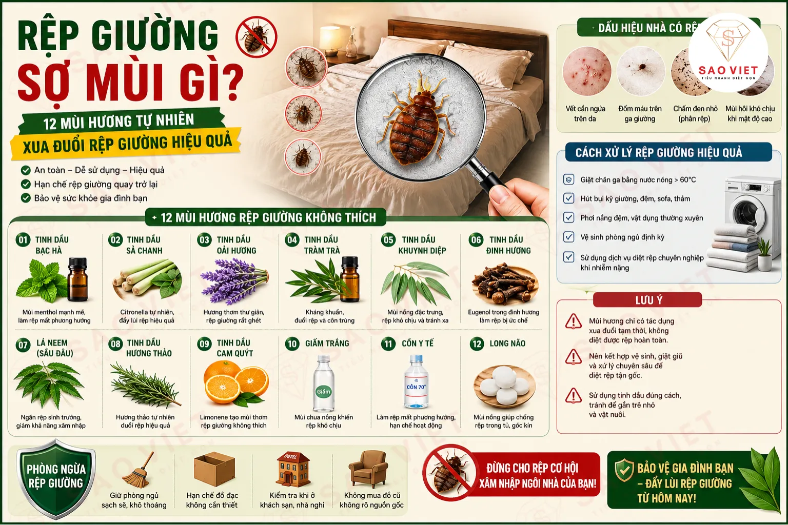 Noi dung doan van ban cua ban 17