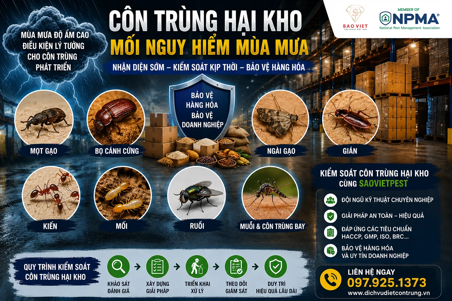 Côn trùng gây hại