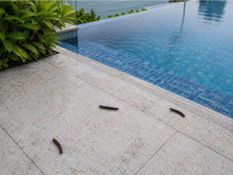 Cuốn chiếu tại lối đi hồ bơi -rủi ro vệ sinh và ảnh hưởng trực tiếp đến cảm nhận của khách lưu trú