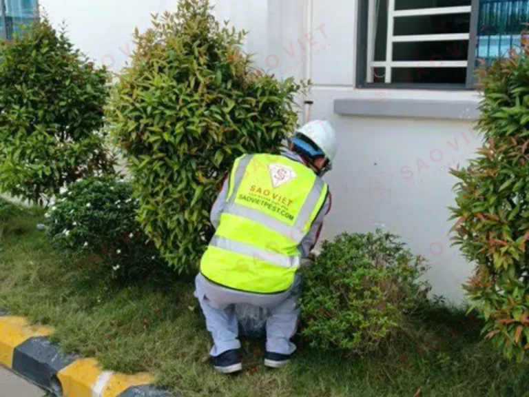 Cách diệt cuốn chiếu trong khu vực cảnh quan khuôn viên doanh nghiệp 4 Đội ngũ chuyên gia của Sao Việt Pest đang sử dụng máy đo độ ẩm và thiết bị phun áp lực cao để xử lý cuốn chiếu tại khuôn viên