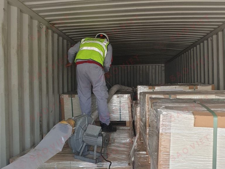 Hình ảnh đội ngũ kỹ thuật xử lý trong container hàng hóa xuất khẩu của Sao Việt Pest 