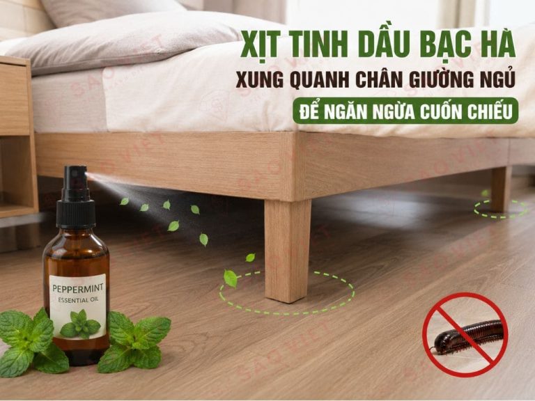 Cách đuổi cuốn chiếu ra khỏi phòng ngủ triệt để tại nhà 3 Xịt tinh dầu bạc hà xung quanh chân giường ngủ để ngăn ngừa cuốn chiếu