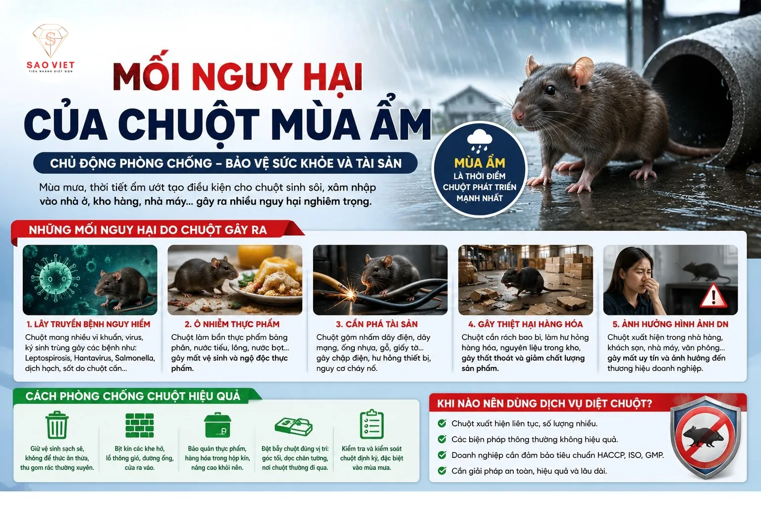 Mối Nguy Hại Của Chuột Mùa Ẩm Và Cách Phòng Chống 1 Mối nguy hại của chuột mùa ẩm