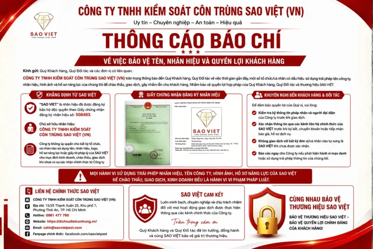 Noi dung doan van ban cua ban 8