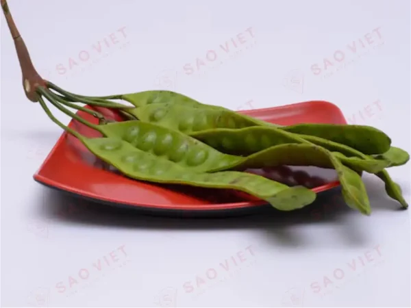 Diệt mối bằng bồ kết Diệt mối bằng bồ kết