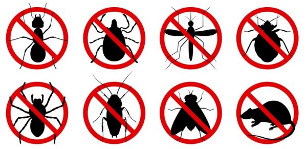 kiểm soát côn trùng dịch hại mục tiêu