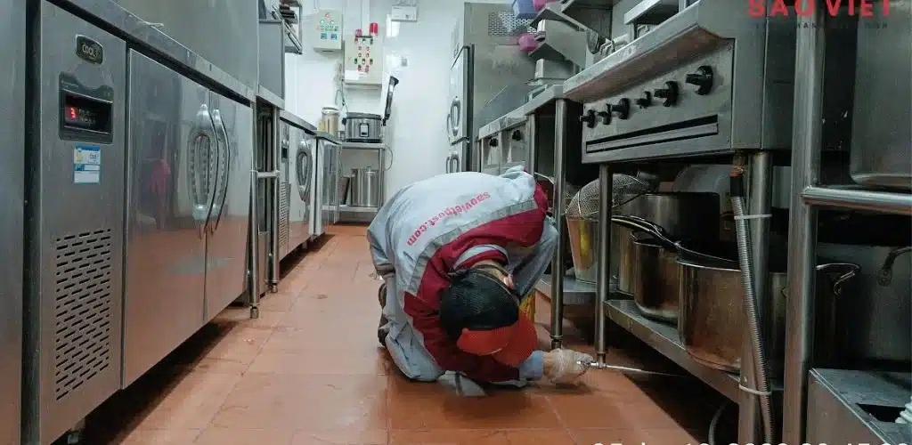 Nhân viên thực hiện công việc diệt gián tại nhà bếp
