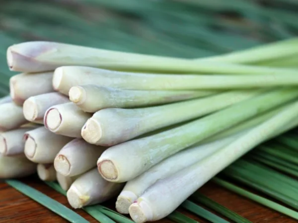 Sả tươi Sả tươi