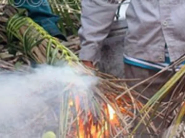 Tạo khói đuổi ong ruồi Tạo khói đuổi ong ruồi