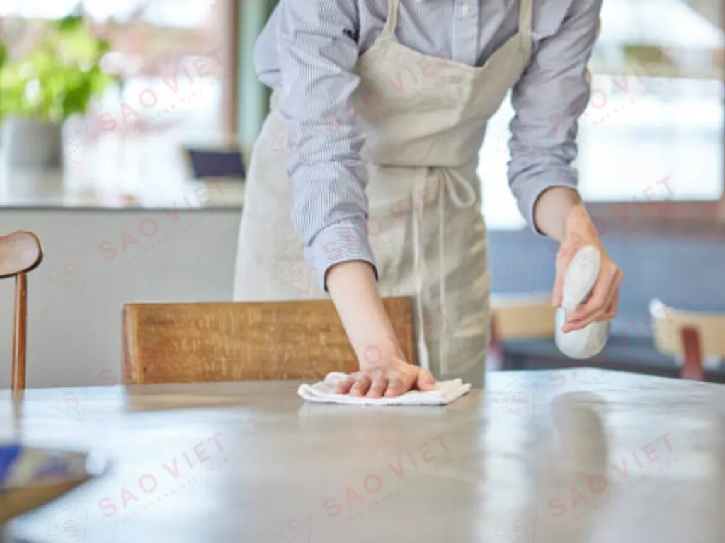 Vệ sinh nhà cửa để ngăn ngừa nhện và các loại côn trùng khác